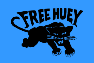Free Huey Black Panthers flag variant